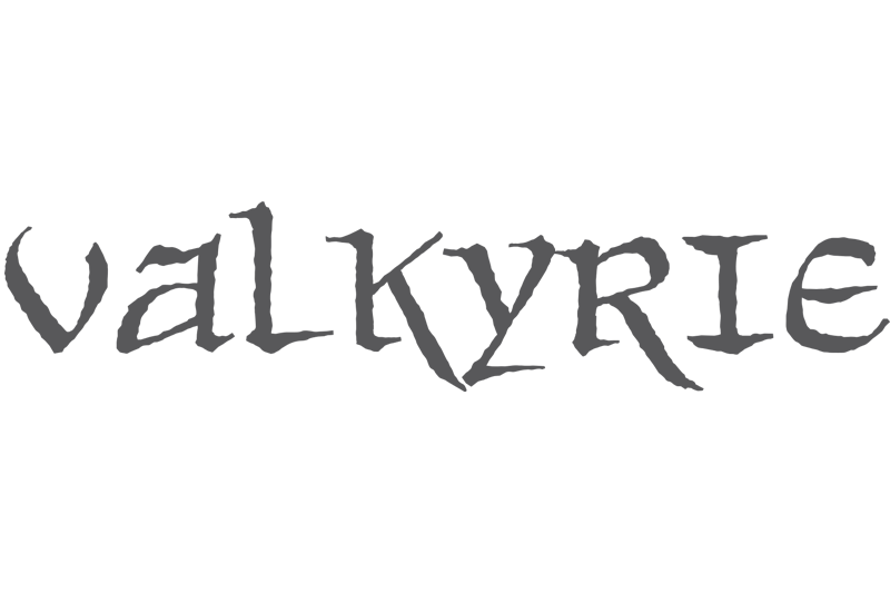 Valkyrie-Logo_1